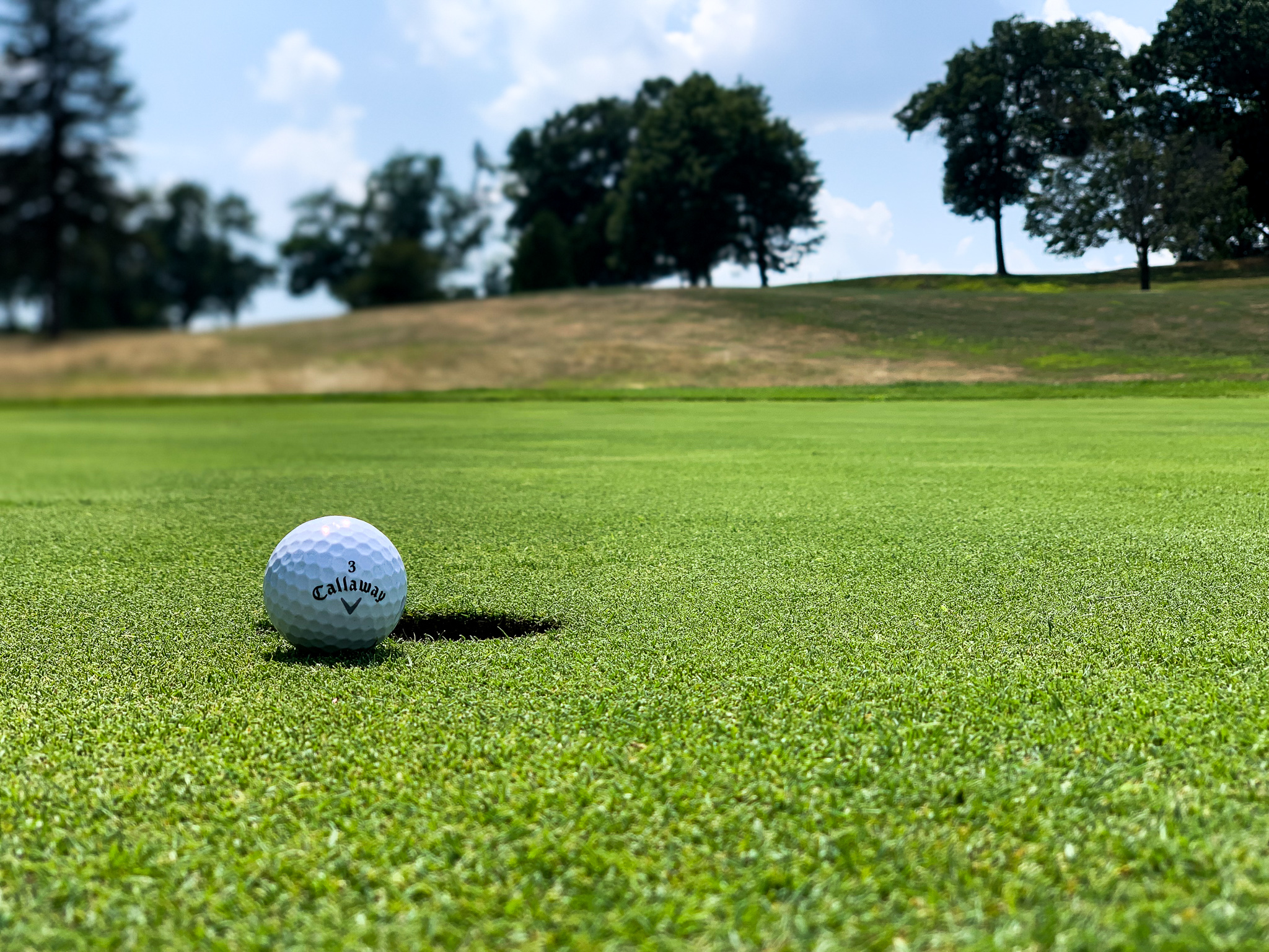 golf ball near tee